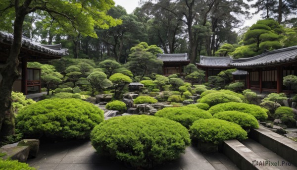 outdoors,day,tree,no humans,sunlight,grass,plant,building,nature,scenery,forest,rock,stairs,road,bush,architecture,east asian architecture,shrine,path,stone,stone lantern,real world location