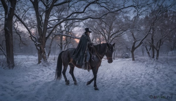 A glimpse of a male in a lush snowy outdoors