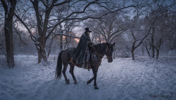 solo,black hair,gloves,long sleeves,1boy,hat,male focus,boots,outdoors,black gloves,pants,cape,black footwear,tree,coat,black headwear,animal,nature,scenery,cloak,snow,forest,top hat,black cape,road,riding,wide shot,horse,bare tree,black cloak,horseback riding,reins,saddle,shirt,holding,jacket,sky,from side,black jacket,night,black pants,grass,black coat,snowing,dark,winter,cane,path