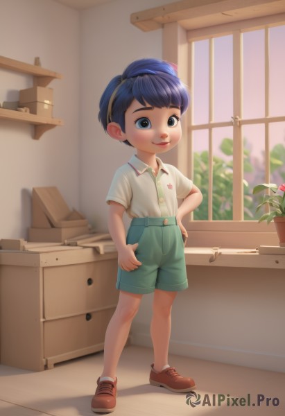 solo,looking at viewer,smile,short hair,bangs,blue eyes,shirt,1boy,closed mouth,blue hair,standing,full body,white shirt,flower,short sleeves,male focus,hairband,shoes,shorts,socks,collared shirt,indoors,lips,hand on hip,window,buttons,brown footwear,plant,box,child,blue shorts,female child,potted plant,male child,green shorts,shelf,kitchen,blush,shadow,sneakers