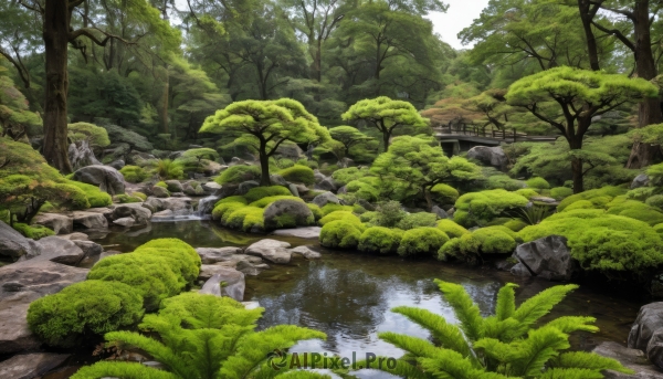 outdoors,day,water,tree,no humans,sunlight,grass,plant,nature,scenery,forest,rock,river,landscape,moss,stream,reflection,bush,bridge,pond