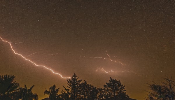 outdoors,sky,cloud,tree,no humans,night,star (sky),nature,night sky,scenery,forest,starry sky,electricity,bare tree,lightning,traditional media,plant,dark