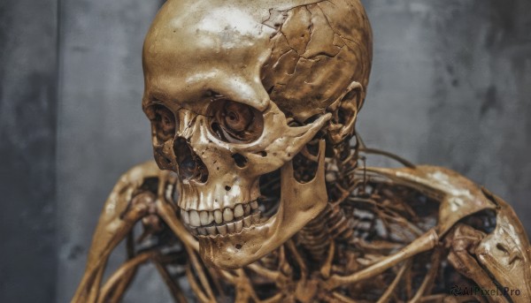 solo,looking at viewer,1boy,upper body,male focus,teeth,armor,blurry,no humans,blurry background,portrait,1other,skull,realistic,ribs,skeleton,bone,robot,science fiction,damaged,crack,horror (theme),mechanical parts