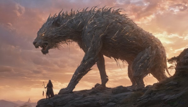 A male surrounded by a lush sunset outdoors