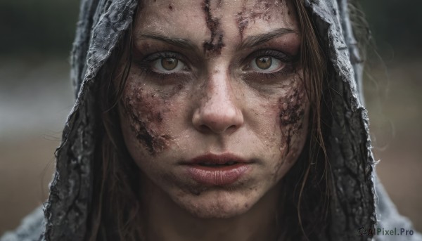 1girl,solo,long hair,looking at viewer,brown hair,brown eyes,closed mouth,parted lips,hood,blurry,lips,eyelashes,depth of field,blurry background,portrait,veil,close-up,hood up,realistic,red lips,straight-on,dirty,dirty face,freckles,nose