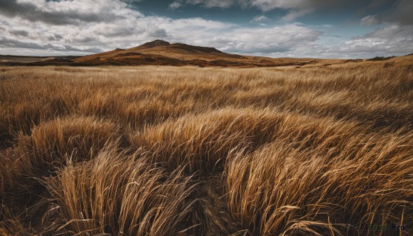 A enchanting day highlighting a landscape