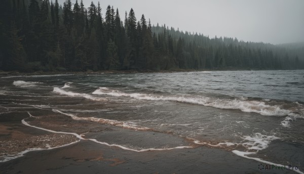 The timeless beauty of a landscape in a bold snowy day
