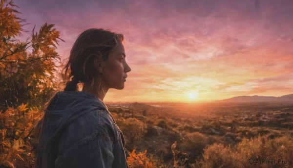 The beauty of a female set in a enchanting sunset outdoors