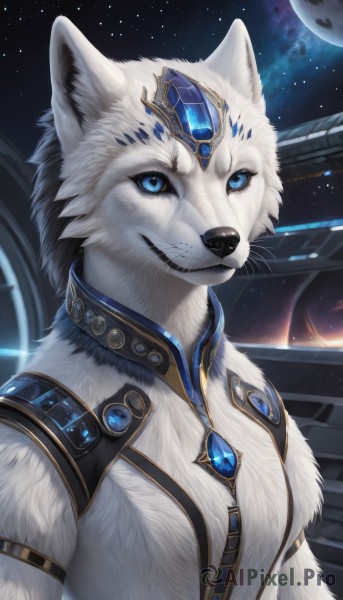 A magnificent female within night sky
