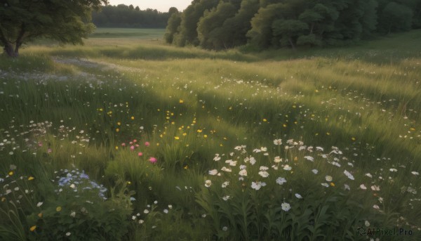 The serene presence of a landscape in a lush day