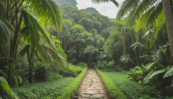A peaceful day with a landscape