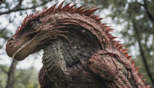A stunning monster captured in day
