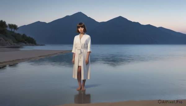 1girl,solo,looking at viewer,smile,short hair,bangs,brown hair,black hair,dress,brown eyes,closed mouth,standing,full body,outdoors,sky,barefoot,day,dark skin,water,white dress,dark-skinned female,tree,beach,scenery,reflection,walking,robe,mountain,arms at sides,wide shot,mountainous horizon,lake,white robe,belt,coat,bob cut,white coat