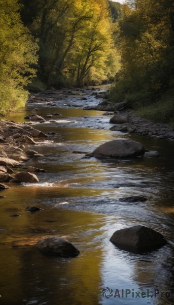 outdoors,day,water,tree,no humans,sunlight,grass,nature,scenery,forest,reflection,rock,river,stone,pond,reflective water,stream,plant,bush