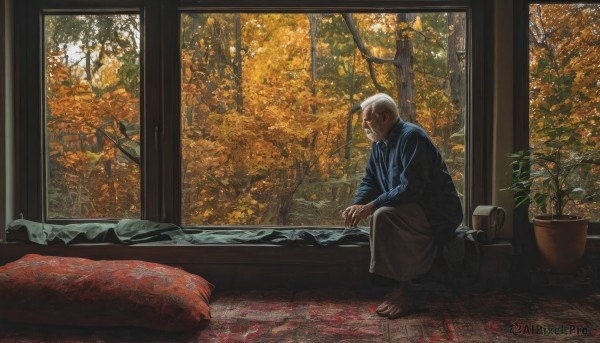 solo,short hair,long sleeves,1boy,sitting,white hair,male focus,japanese clothes,barefoot,day,pants,indoors,tree,cup,pillow,window,facial hair,leaf,scar,looking away,plant,nature,scenery,scar on face,wooden floor,mug,potted plant,autumn leaves,cushion,autumn,shirt,closed mouth,closed eyes,dark skin,dark-skinned male,realistic,blanket,very short hair,wide shot,rug,buzz cut