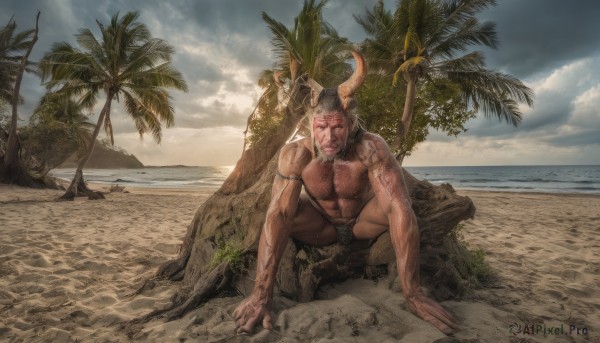 solo,looking at viewer,short hair,black hair,1boy,navel,underwear,nipples,full body,male focus,thighs,outdoors,horns,sky,day,pointy ears,cloud,water,stomach,tree,tattoo,muscular,facial hair,ocean,beach,thick thighs,abs,cloudy sky,pectorals,muscular male,demon horns,bara,beard,large pectorals,bulge,topless male,mature male,realistic,sand,palm tree,arm tattoo,male underwear,chest hair,male swimwear,navel hair,leg hair,arm hair,hairy,swim briefs,black male underwear,animal ears,tail,dark skin,wet,scar,squatting,dark-skinned male,underwear only,veins,horizon,goatee,cow ears,cow horns,bare pectorals,chest tattoo,briefs,nose piercing,cow boy,scar on leg