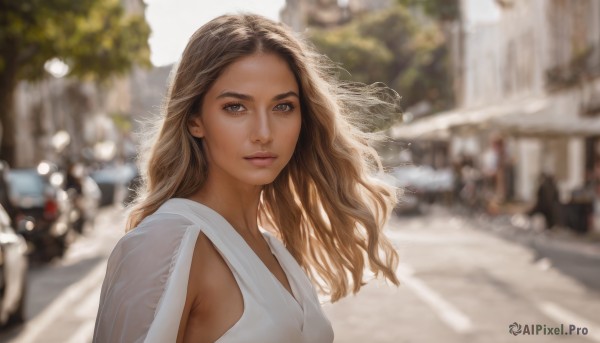 1girl,solo,long hair,looking at viewer,brown hair,dress,brown eyes,closed mouth,upper body,outdoors,day,dark skin,white dress,blurry,dark-skinned female,lips,depth of field,blurry background,wavy hair,ground vehicle,building,motor vehicle,realistic,nose,car,road,street,tree,sunlight,wind