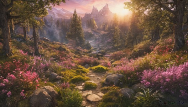 A vivid sunset outdoors highlighting a landscape