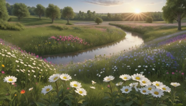 The wonder of a landscape in a peaceful sunset day
