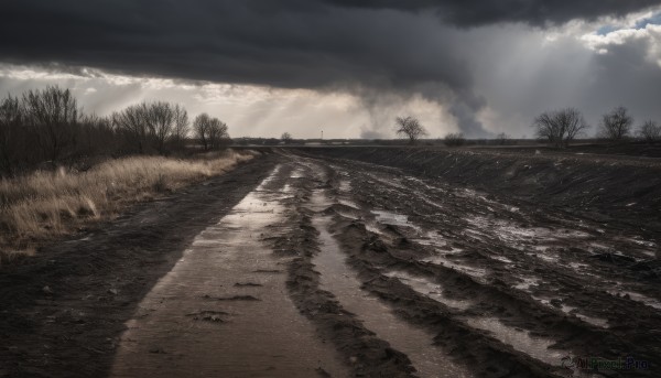 The allure of a landscape in a dynamic day