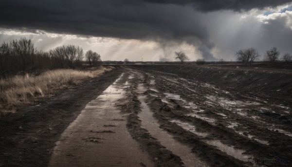 outdoors,sky,day,cloud,water,tree,no humans,ocean,beach,sunlight,cloudy sky,grass,nature,scenery,forest,reflection,light rays,road,river,landscape,shore,horizon,grey sky,overcast