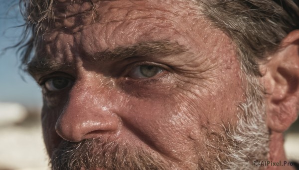 solo,looking at viewer,brown hair,black hair,1boy,brown eyes,closed mouth,male focus,shiny,blurry,black eyes,depth of field,blurry background,facial hair,portrait,beard,close-up,realistic,grey hair,scar,thick eyebrows,scar on face,veins,serious,mustache,scar across eye,manly,old,old man,wrinkled skin