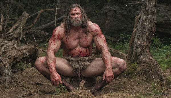 solo,long hair,looking at viewer,1boy,navel,sitting,closed mouth,nipples,full body,weapon,grey hair,male focus,boots,outdoors,sword,tree,blood,tattoo,muscular,facial hair,scar,abs,pectorals,muscular male,nature,bara,pelvic curtain,beard,forest,topless male,injury,mature male,realistic,mustache,dirty,chest hair,loincloth,leg hair,arm hair,dirty feet,brown hair,scar on face,blood on face,branch,indian style,blood on clothes,tribal