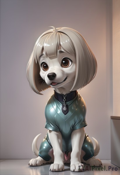 1girl,solo,smile,short hair,open mouth,bangs,shirt,animal ears,brown eyes,tail,full body,short sleeves,tongue,shiny,pants,artist name,indoors,signature,blunt bangs,shiny hair,collar,shiny skin,animal,happy,bob cut,blue shirt,furry,zipper,reflection,shiny clothes,dog,green shirt,furry female,animal focus,animal collar,two-tone fur,clothed animal,reflective floor,sitting,standing,teeth,dog ears,dog tail,dog girl,body fur