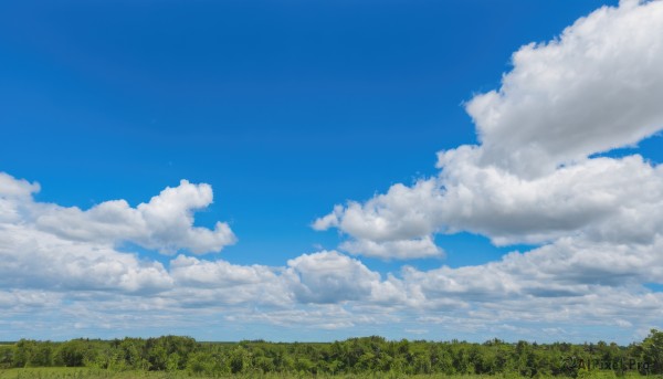 A landscape surrounded by a lush day