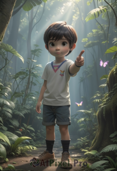 solo,looking at viewer,short hair,brown hair,shirt,1boy,brown eyes,standing,full body,white shirt,short sleeves,male focus,outdoors,shoes,shorts,day,socks,tree,leaf,brown footwear,sunlight,bug,plant,pointing,black socks,t-shirt,butterfly,sneakers,child,nature,forest,light rays,male child,sunbeam,ladybug,blush,black hair