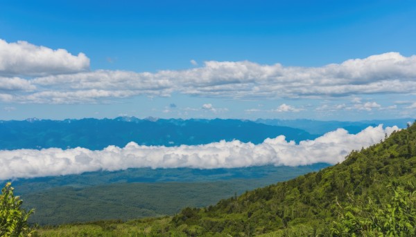 outdoors,sky,day,cloud,tree,blue sky,no humans,cloudy sky,grass,plant,nature,scenery,forest,mountain,horizon,field,landscape,hill,ocean,mountainous horizon