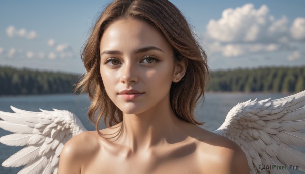A female in the heart of a majestic day