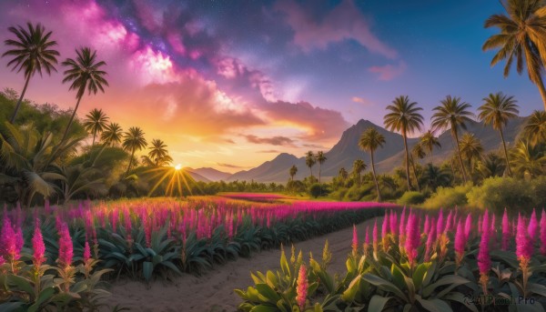 A stunning portrayal of a unique subject in a calm sunset outdoors
