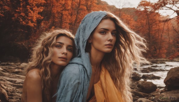 long hair,looking at viewer,multiple girls,blonde hair,brown hair,2girls,brown eyes,jewelry,closed mouth,upper body,earrings,outdoors,dark skin,hood,water,dark-skinned female,tree,lips,siblings,wavy hair,expressionless,towel,nature,forest,curly hair,rock,realistic,nose,autumn leaves,river,autumn,blue eyes,bare shoulders,parted lips,signature,leaf,sunlight,thick eyebrows,wind,messy hair,dirty