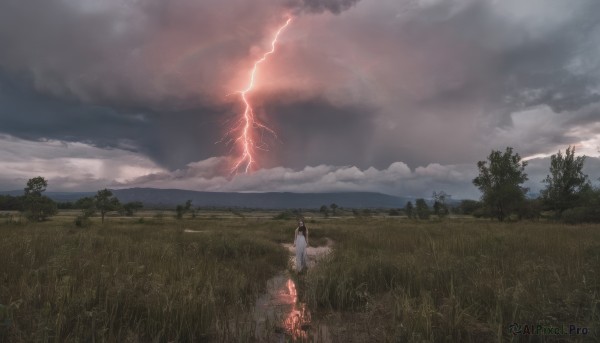 The wonder of a female in a picturesque fiery outdoors