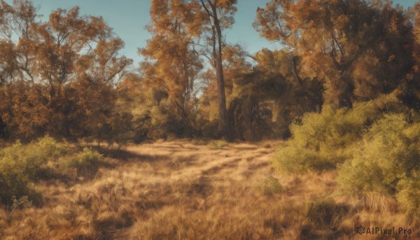 outdoors,sky,day,tree,blue sky,no humans,grass,nature,scenery,forest,road,bush,autumn leaves,field,autumn,path,artist name,signature,leaf,landscape