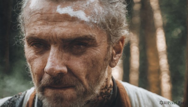 solo,looking at viewer,short hair,1boy,brown eyes,closed mouth,white hair,male focus,armor,blurry,tattoo,blurry background,facial hair,scar,portrait,beard,scar on face,close-up,realistic,scar across eye,manly,old,old man,wrinkled skin,tree,looking to the side,grey eyes,nature,mustache