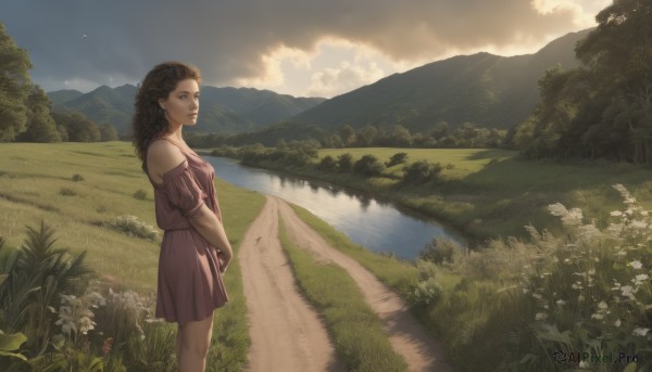 1girl,solo,long hair,looking at viewer,brown hair,dress,bare shoulders,brown eyes,jewelry,standing,flower,outdoors,sky,cloud,water,off shoulder,tree,lips,cloudy sky,grass,nature,scenery,reflection,curly hair,mountain,realistic,road,field,river,landscape,lake,path,earrings,day,sunlight,plant,purple dress