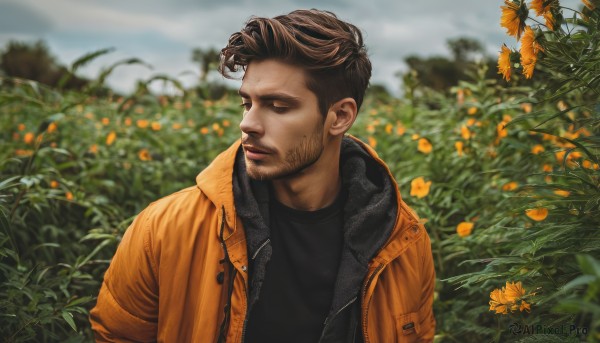 solo,short hair,brown hair,shirt,1boy,brown eyes,jacket,upper body,flower,male focus,outdoors,parted lips,open clothes,day,blurry,open jacket,looking to the side,black shirt,depth of field,blurry background,facial hair,beard,realistic,stubble,sunflower,field,flower field,orange jacket,closed mouth,sky,artist name,cloud,vest,brown jacket,undercut