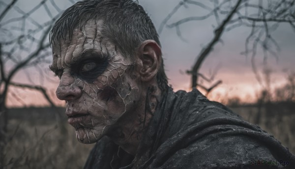 solo,looking at viewer,short hair,black hair,1boy,closed mouth,upper body,male focus,outdoors,blurry,from side,tree,grey eyes,profile,blurry background,scar,portrait,realistic,bare tree,sky,veins,barbed wire