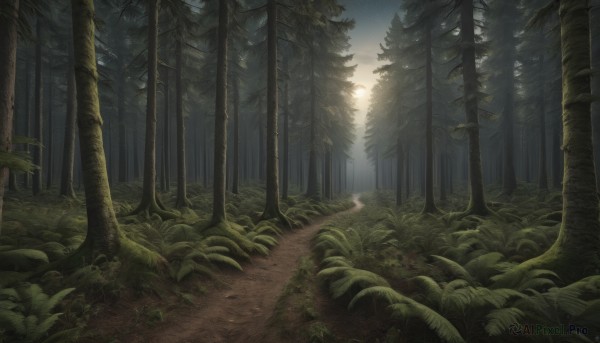 A inspiring landscape within outdoors