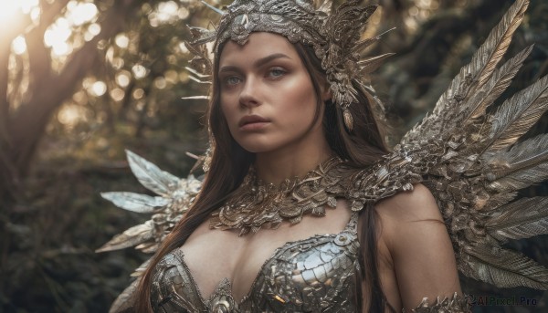 1girl,solo,long hair,breasts,looking at viewer,blue eyes,large breasts,brown hair,hair ornament,cleavage,jewelry,medium breasts,closed mouth,upper body,outdoors,wings,artist name,armor,blurry,tree,lips,blurry background,headgear,scar,feathers,nature,realistic,nose,headdress