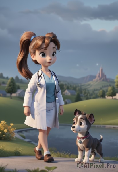 1girl,solo,long hair,smile,skirt,brown hair,shirt,brown eyes,full body,ponytail,outdoors,sky,shoes,socks,cloud,water,blurry,collar,tree,grey eyes,blurry background,animal,brown footwear,white skirt,grass,blue shirt,child,walking,dog,leash,labcoat,female child,stethoscope,doctor,open mouth,blue eyes,long sleeves,standing,flower,parted lips,artist name,signature,lips,depth of field,thick eyebrows,white socks,nose,path