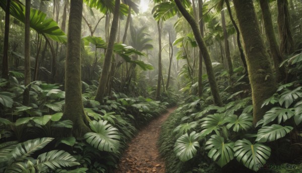 outdoors,day,tree,no humans,leaf,sunlight,grass,plant,nature,scenery,forest,light rays,bush,green theme,path,flower,road