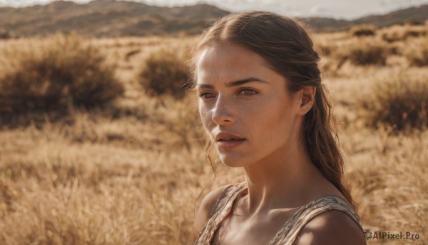 1girl,solo,long hair,looking at viewer,brown hair,dress,bare shoulders,brown eyes,collarbone,upper body,outdoors,parted lips,sleeveless,blurry,lips,depth of field,blurry background,portrait,freckles,realistic,nose,field,flower field,flower,teeth,day,sunlight,sunflower