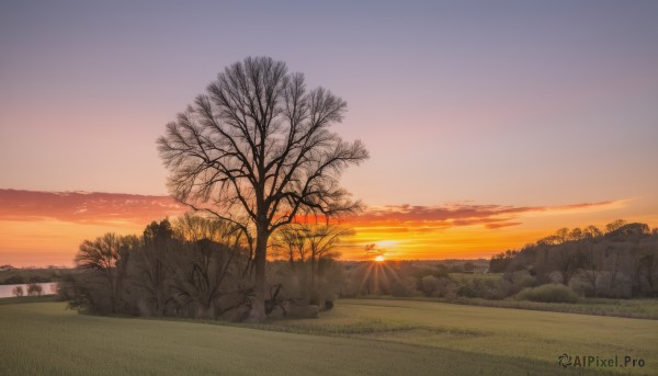 outdoors,sky,cloud,water,tree,no humans,sunlight,grass,nature,scenery,forest,sunset,rock,mountain,sun,horizon,bare tree,river,landscape,gradient sky,orange sky,cloudy sky,field