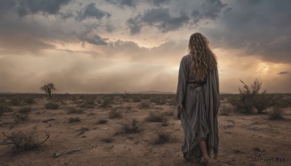 1girl,solo,long hair,brown hair,long sleeves,standing,outdoors,japanese clothes,sky,barefoot,cloud,kimono,from behind,tree,sash,wavy hair,cloudy sky,grass,scenery,walking,sunset,sand,sun,horizon,facing away,desert,dirty feet,blonde hair,dress,water,cape,bird,ocean,beach,cloak,robe,arms at sides,dirty