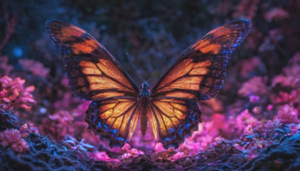 A breathtaking dynamic scene with a butterfly