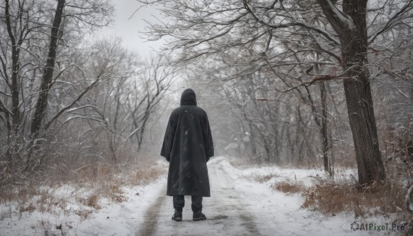 solo,long sleeves,1boy,standing,monochrome,male focus,outdoors,hood,from behind,tree,coat,nature,scenery,snow,forest,black coat,snowing,arms at sides,facing away,wide shot,winter,bare tree,ambiguous gender,black footwear,grass,1other,hood up,walking,robe