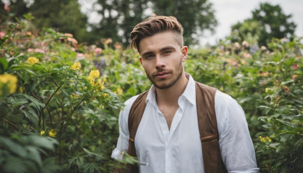 solo,looking at viewer,smile,short hair,brown hair,shirt,black hair,1boy,brown eyes,closed mouth,white shirt,upper body,flower,male focus,outdoors,collared shirt,blurry,vest,depth of field,blurry background,facial hair,plant,beard,realistic,yellow flower,stubble,brown vest,blue eyes,day,bag,dress shirt,backpack,nature,undercut,photo background